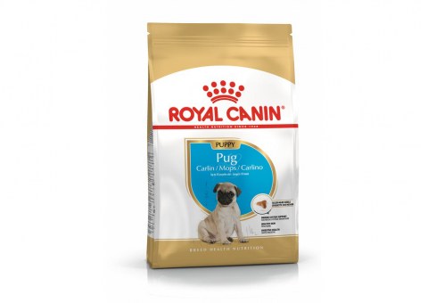 Royal Canin Pug Puppy hrana za štence mopsa